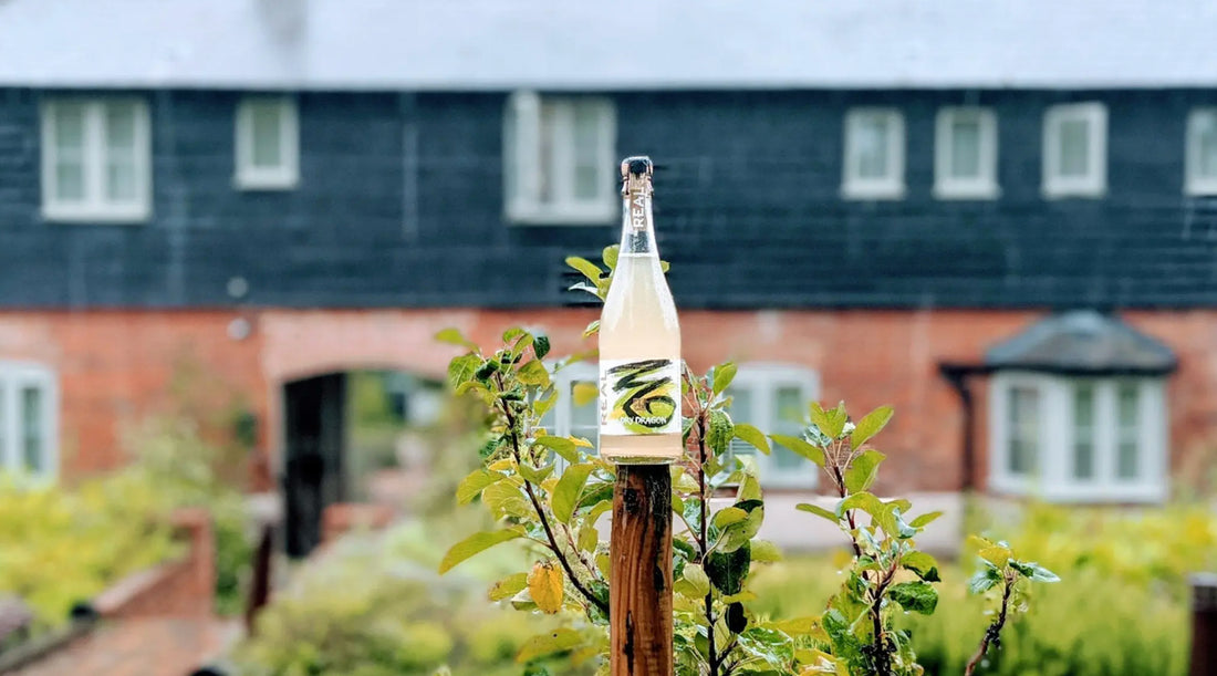 Bottle of Dry Dragon Sparkling Tea on fence post in front of house.