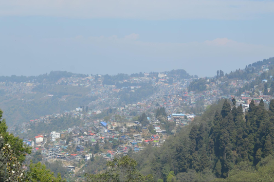 Darjeeling Travels